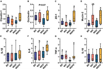 Supplementation of multi-enzymes alone or combined with inactivated Lactobacillus benefits growth performance and gut microbiota in broilers fed wheat diets